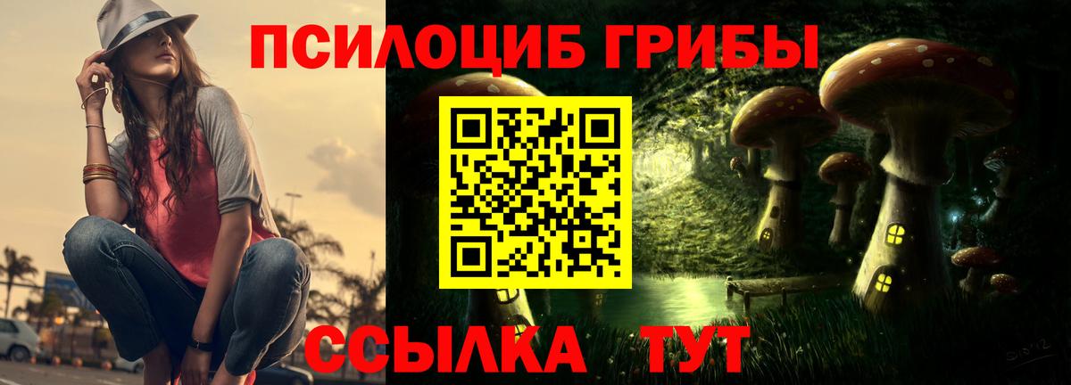 Псилоцибиновые грибы Psilocybine cubensis  Галлюциногенные грибы GOLDEN TEACHER  Нижний Новгород  Вход с VPN 